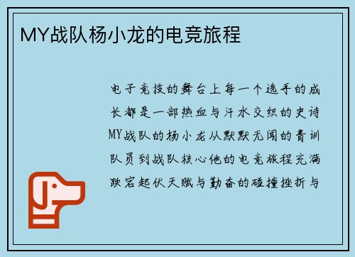 MY战队杨小龙的电竞旅程