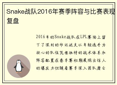 Snake战队2016年赛季阵容与比赛表现复盘